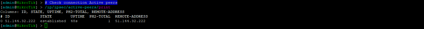 RouterOS - Check Peer status